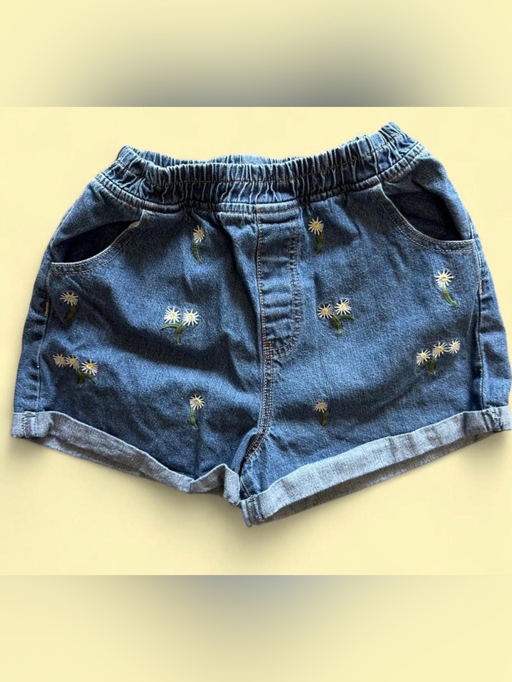 Embroidered Daisy Denim Shorts - Blue